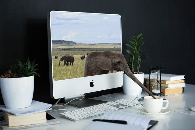 A computer help specialist providing IT services manages an iMac computer adorned with an elephant.