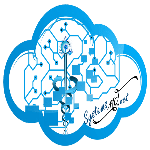 A cloud providing IT services with a key in it.